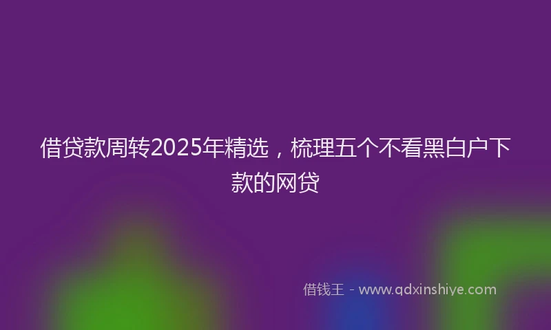 借贷款周转2025年精选，梳理五个不看黑白户下款的网贷