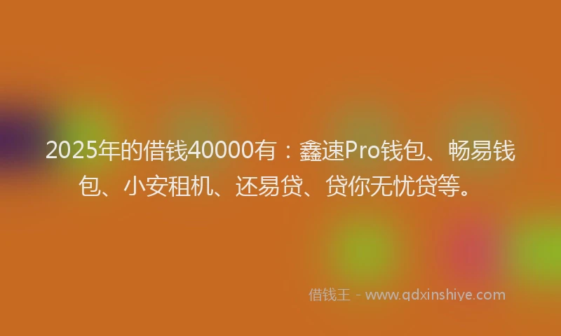 2025年的借钱40000有:鑫速Pro钱包、畅易钱包、小安租机、还易贷、贷你无忧贷等。