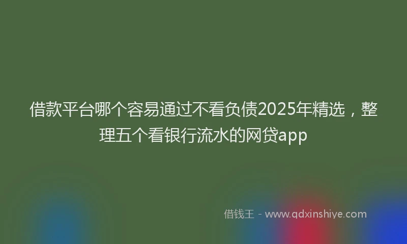 借款平台哪个容易通过不看负债2025年精选，整理五个看银行流水的网贷app