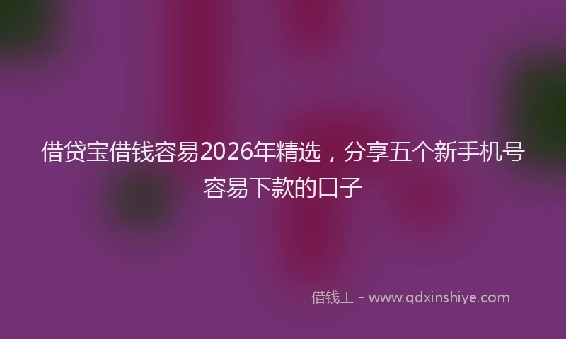 借贷宝借钱容易2026年精选,分享五个新手机号容易下款的口子
