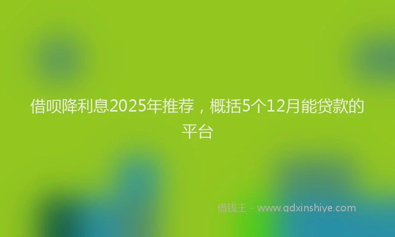 借呗降利息2025年推荐,概括5个12月能贷款的平台