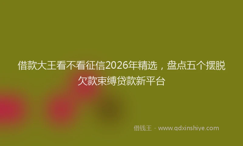 借款大王看不看征信2026年精选，盘点五个摆脱欠款束缚贷款新平台