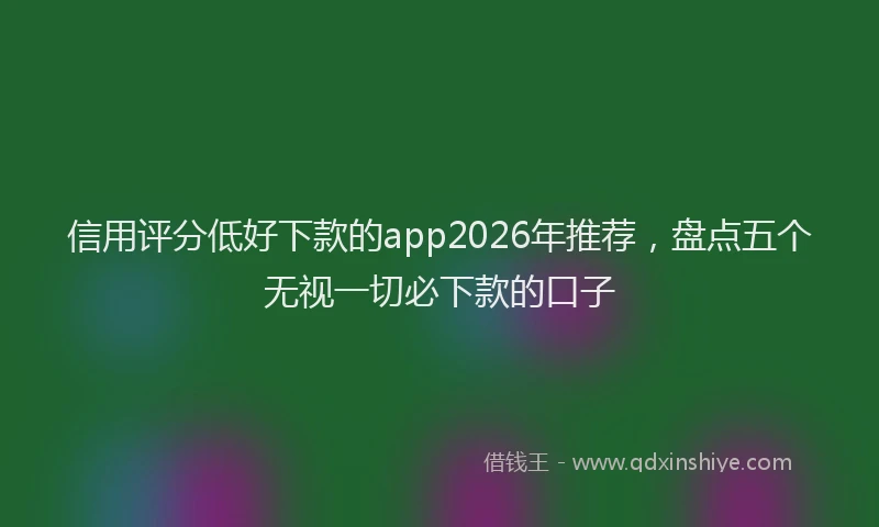 信用评分低好下款的app2026年推荐，盘点五个无视一切必下款的口子