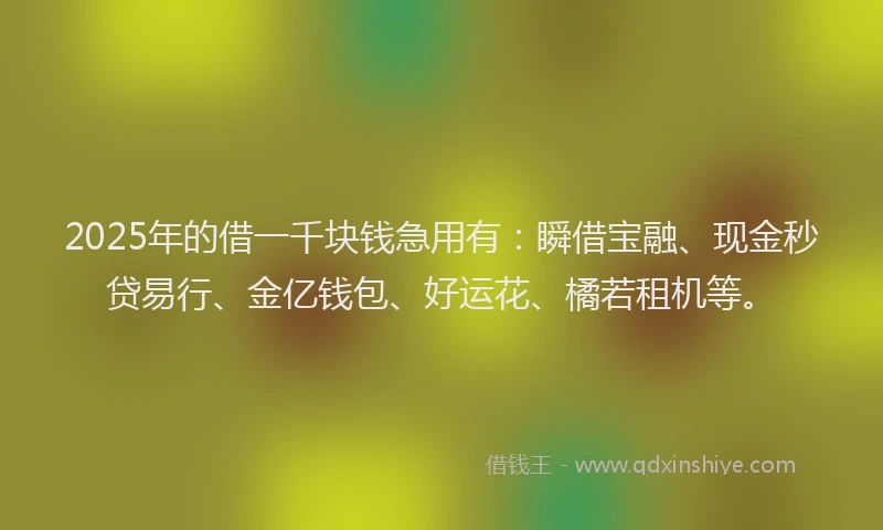 2025年的借一千块钱急用有:瞬借宝融、现金秒贷易行、金亿钱包、好运花、橘若租机等。