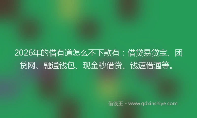 2026年的借有道怎么不下款有：借贷易贷宝、团贷网、融通钱包、现金秒借贷、钱速借通等。