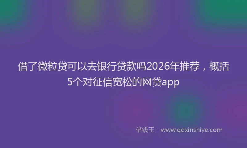 借了微粒贷可以去银行贷款吗2026年推荐,概括5个对征信宽松的网贷app