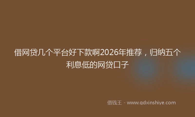 借网贷几个平台好下款啊2026年推荐，归纳五个利息低的网贷口子