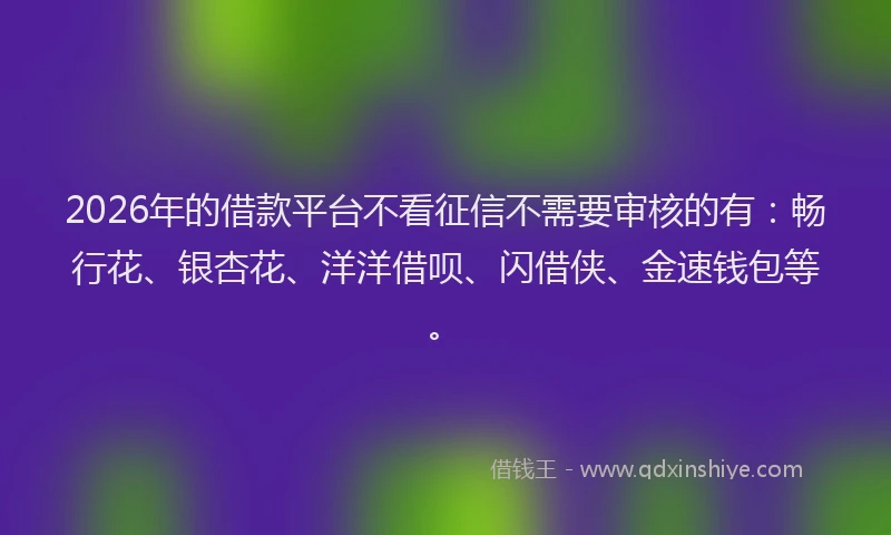 2026年的借款平台不看征信不需要审核的有：畅行花、银杏花、洋洋借呗、闪借侠、金速钱包等。