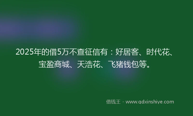 2025年的借5万不查征信有:好居客、时代花、宝盈商城、天浩花、飞猪钱包等。
