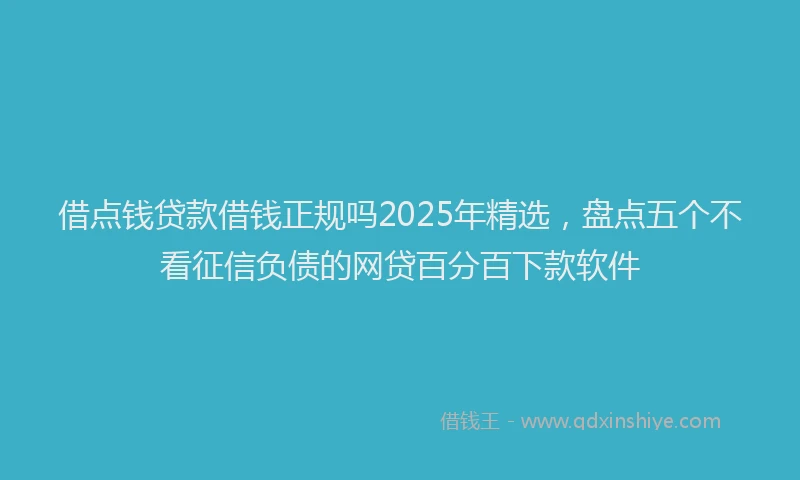 借点钱贷款借钱正规吗2025年精选，盘点五个不看征信负债的网贷百分百下款软件