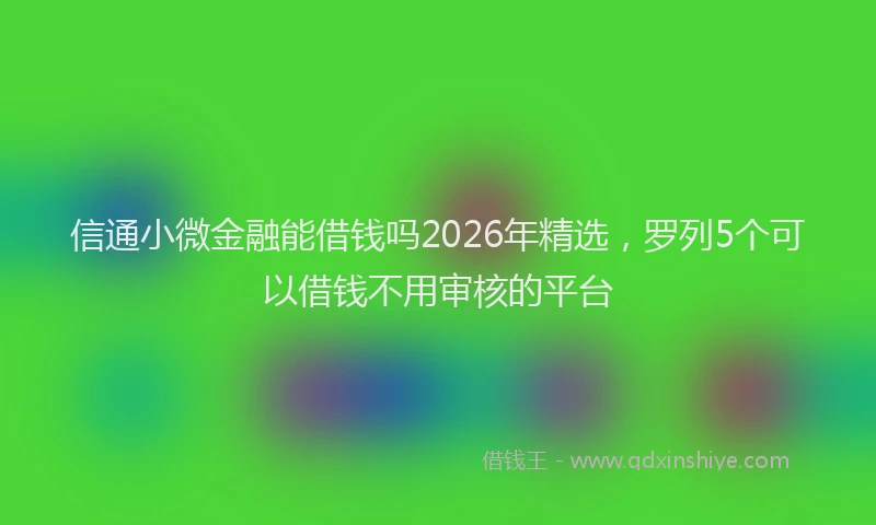 信通小微金融能借钱吗2026年精选，罗列5个可以借钱不用审核的平台
