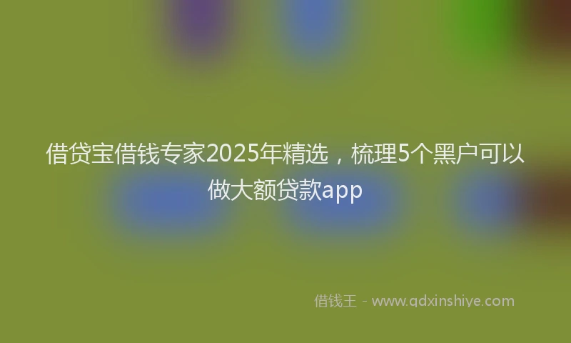 借贷宝借钱专家2025年精选，梳理5个黑户可以做大额贷款app