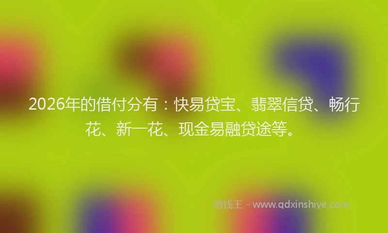 2026年的借付分有：快易贷宝、翡翠信贷、畅行花、新一花、现金易融贷途等。