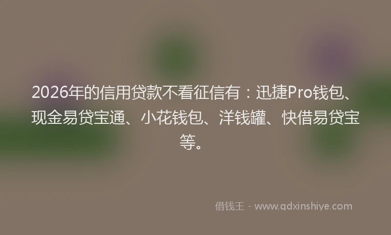 2026年的信用贷款不看征信有：迅捷Pro钱包、现金易贷宝通、小花钱包、洋钱罐、快借易贷宝等。