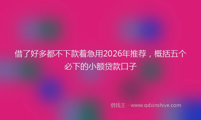 借了好多都不下款着急用2026年推荐，概括五个必下的小额贷款口子