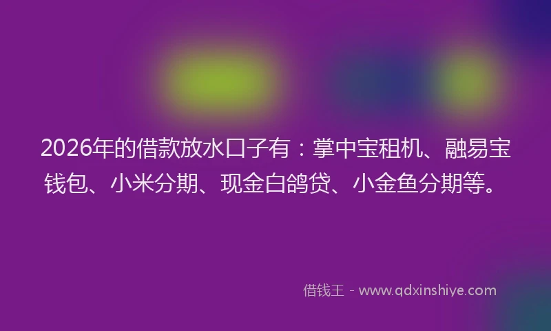 2026年的借款放水口子有:掌中宝租机、融易宝钱包、小米分期、现金白鸽贷、小金鱼分期等。