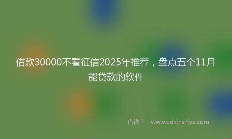借款30000不看征信2025年推荐，盘点五个11月能贷款的软件