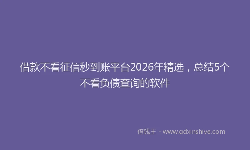 借款不看征信秒到账平台2026年精选，总结5个不看负债查询的软件