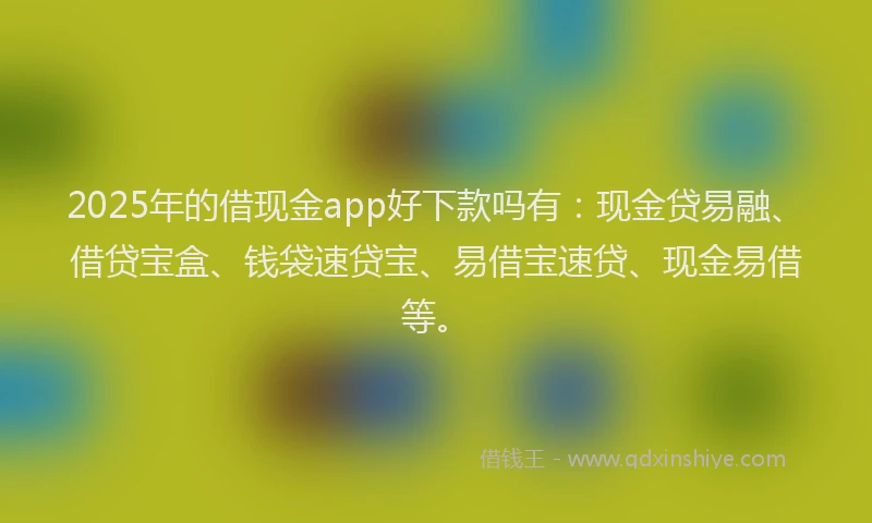 2025年的借现金app好下款吗有：现金贷易融、借贷宝盒、钱袋速贷宝、易借宝速贷、现金易借等。