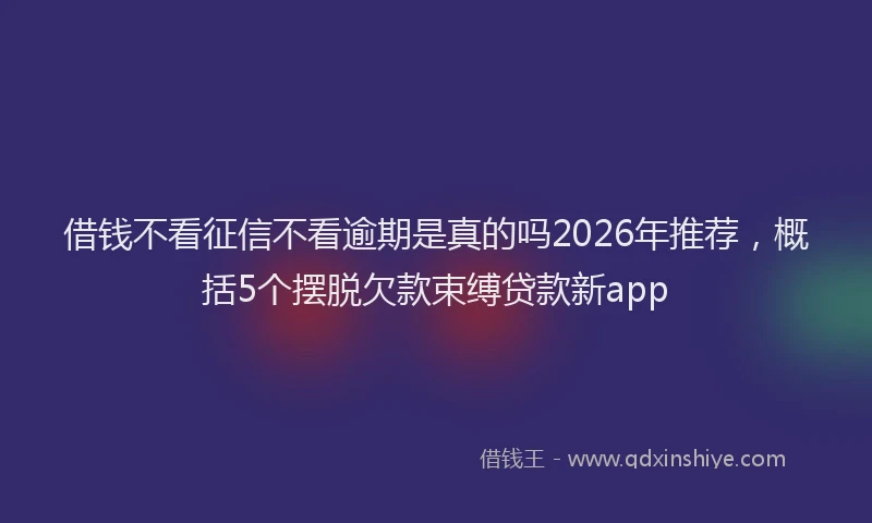 借钱不看征信不看逾期是真的吗2026年推荐，概括5个摆脱欠款束缚贷款新app