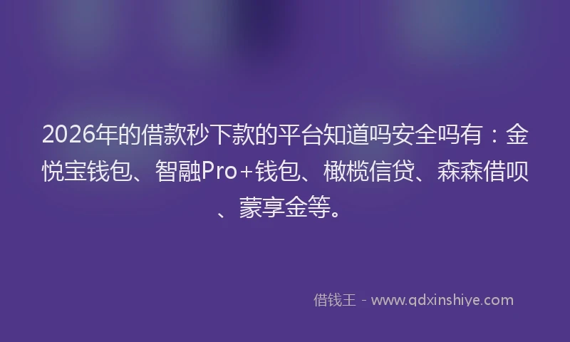2026年的借款秒下款的平台知道吗安全吗有:金悦宝钱包、智融Pro+钱包、橄榄信贷、森森借呗、蒙享金等。