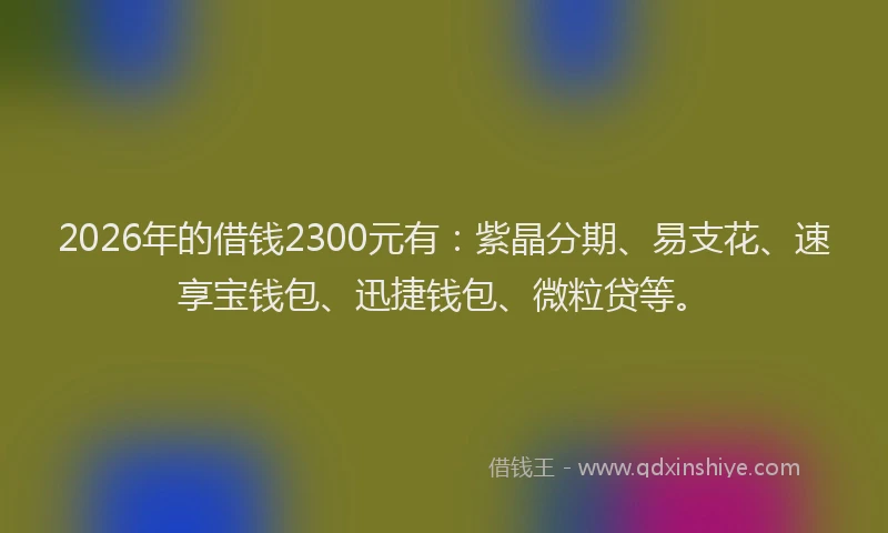 2026年的借钱2300元有:紫晶分期、易支花、速享宝钱包、迅捷钱包、微粒贷等。