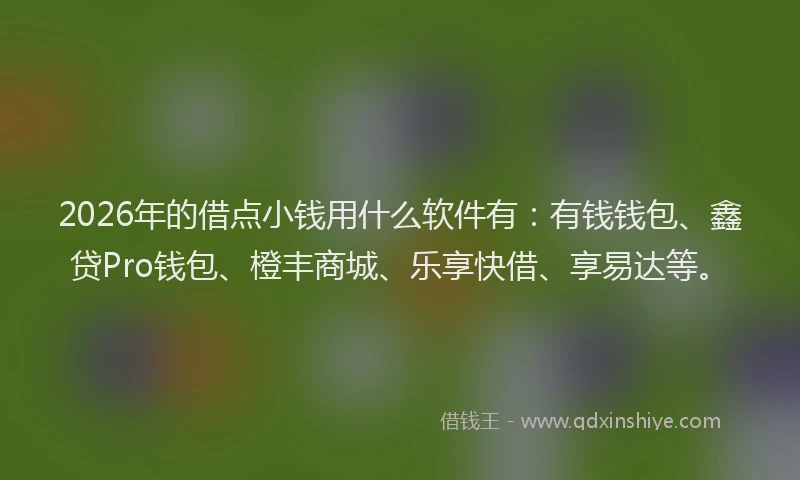 2026年的借点小钱用什么软件有：有钱钱包、鑫贷Pro钱包、橙丰商城、乐享快借、享易达等。