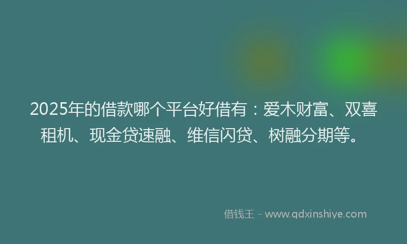 2025年的借款哪个平台好借有：爱木财富、双喜租机、现金贷速融、维信闪贷、树融分期等。