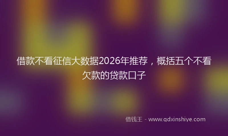 借款不看征信大数据2026年推荐，概括五个不看欠款的贷款口子