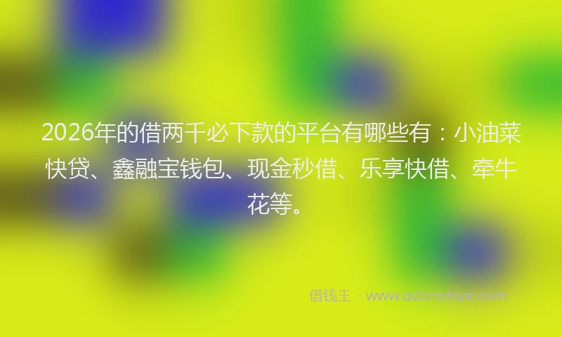 2026年的借两千必下款的平台有哪些有：小油菜快贷、鑫融宝钱包、现金秒借、乐享快借、牵牛花等。