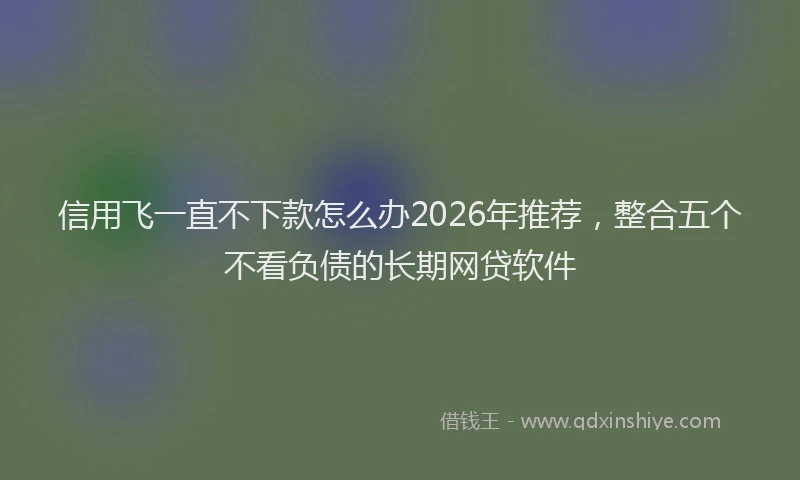 信用飞一直不下款怎么办2026年推荐,整合五个不看负债的长期网贷软件