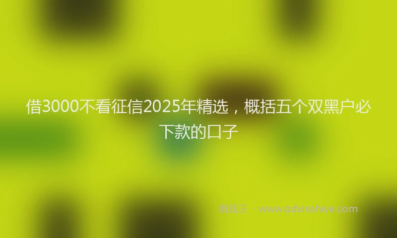 借3000不看征信2025年精选，概括五个双黑户必下款的口子