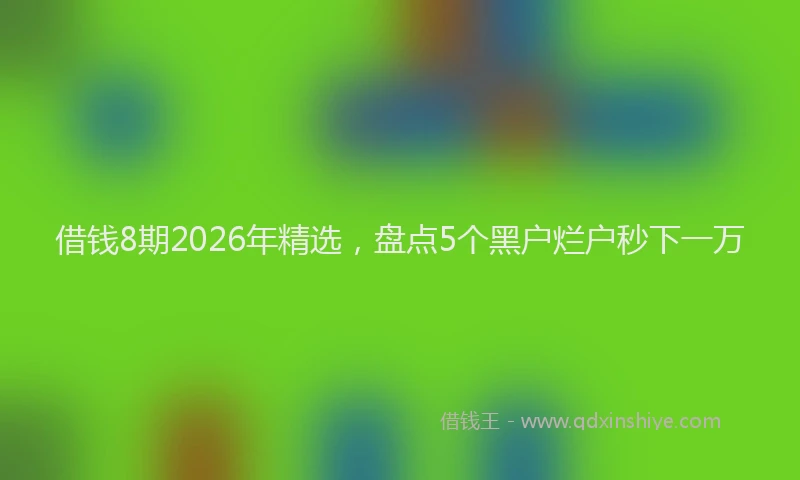 借钱8期2026年精选，盘点5个黑户烂户秒下一万