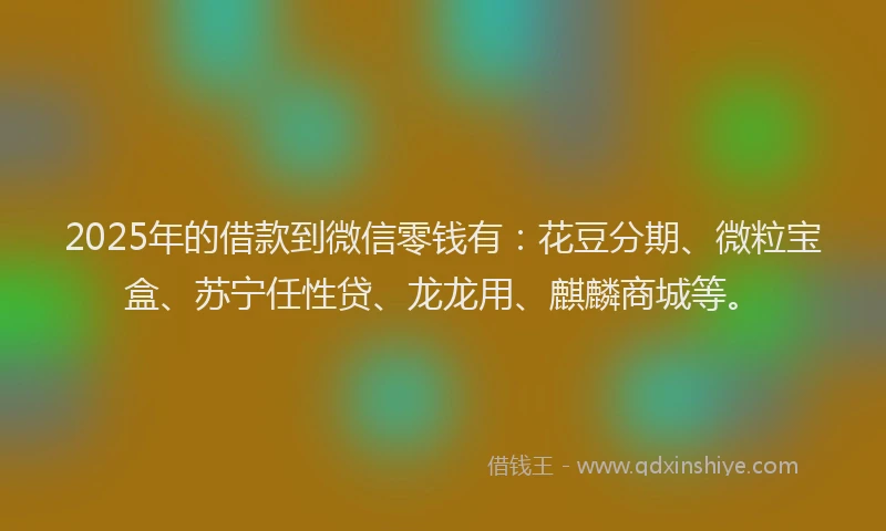 2025年的借款到微信零钱有:花豆分期、微粒宝盒、苏宁任性贷、龙龙用、麒麟商城等。