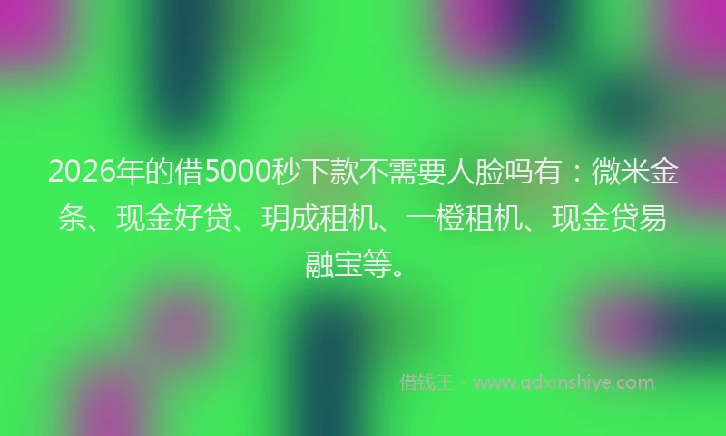 2026年的借5000秒下款不需要人脸吗有:微米金条、现金好贷、玥成租机、一橙租机、现金贷易融宝等。