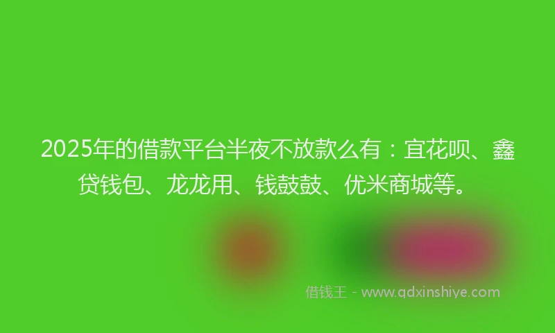 2025年的借款平台半夜不放款么有：宜花呗、鑫贷钱包、龙龙用、钱鼓鼓、优米商城等。