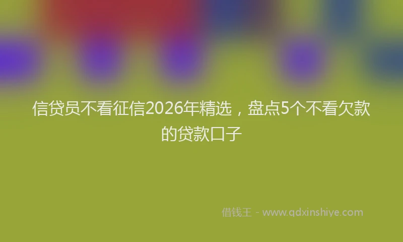 信贷员不看征信2026年精选，盘点5个不看欠款的贷款口子