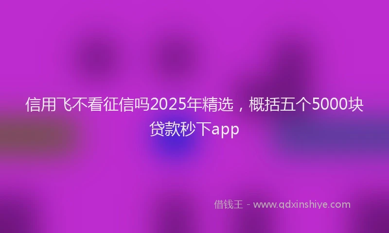 信用飞不看征信吗2025年精选，概括五个5000块贷款秒下app