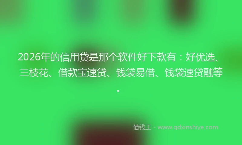 2026年的信用贷是那个软件好下款有：好优选、三枝花、借款宝速贷、钱袋易借、钱袋速贷融等。