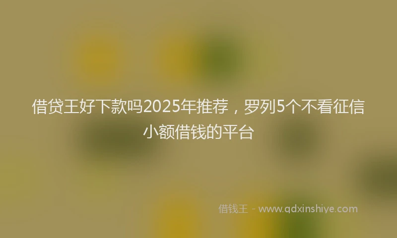 借贷王好下款吗2025年推荐,罗列5个不看征信小额借钱的平台