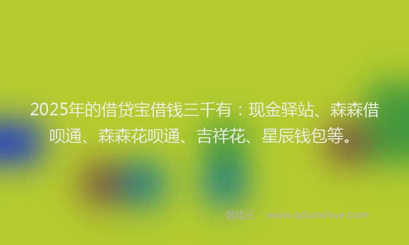 2025年的借贷宝借钱三千有:现金驿站、森森借呗通、森森花呗通、吉祥花、星辰钱包等。