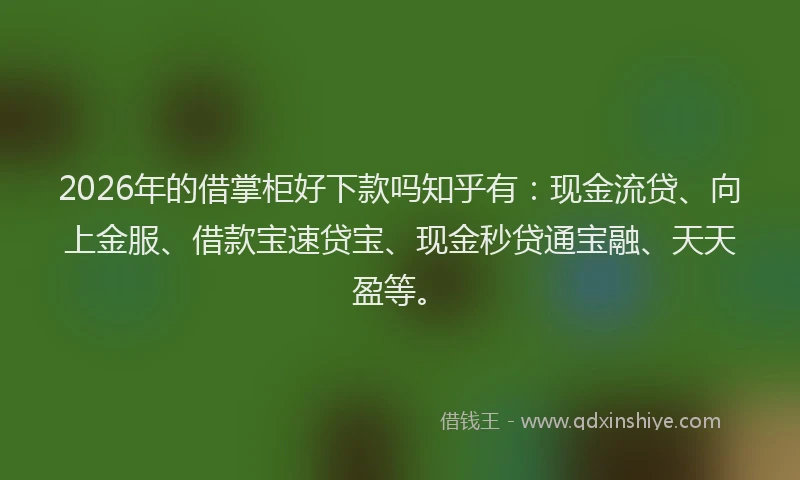 2026年的借掌柜好下款吗知乎有:现金流贷、向上金服、借款宝速贷宝、现金秒贷通宝融、天天盈等。