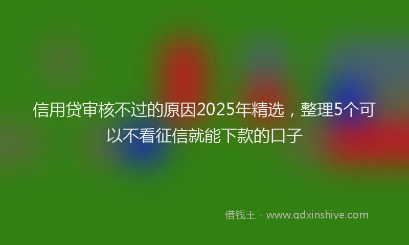 信用贷审核不过的原因2025年精选，整理5个可以不看征信就能下款的口子