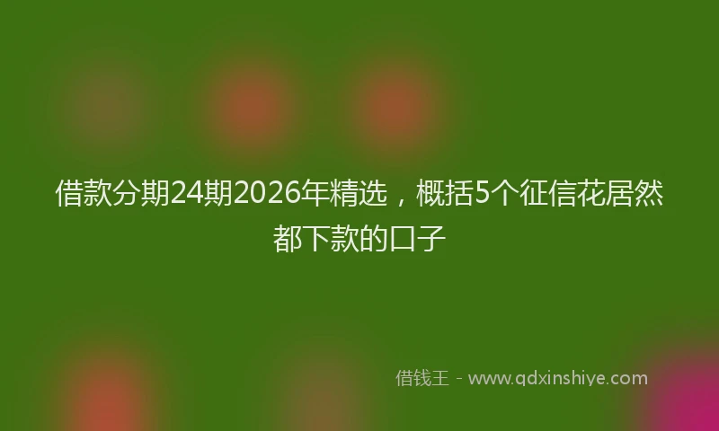 借款分期24期2026年精选,概括5个征信花居然都下款的口子