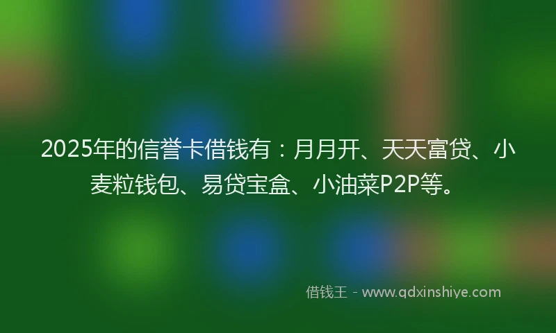 2025年的信誉卡借钱有：月月开、天天富贷、小麦粒钱包、易贷宝盒、小油菜P2P等。