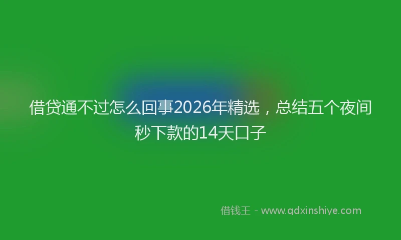 借贷通不过怎么回事2026年精选，总结五个夜间秒下款的14天口子