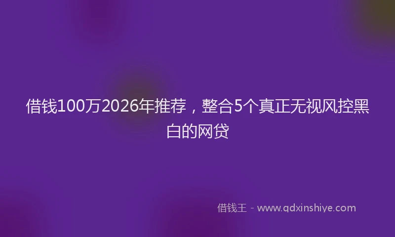 借钱100万2026年推荐,整合5个真正无视风控黑白的网贷