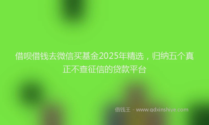 借呗借钱去微信买基金2025年精选,归纳五个真正不查征信的贷款平台