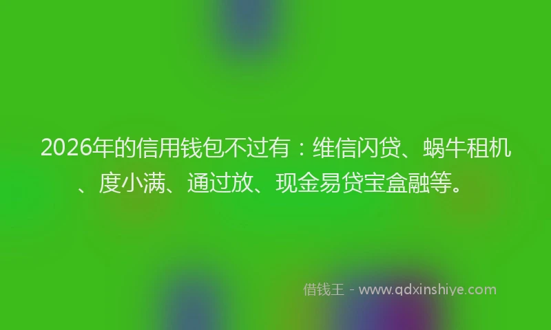2026年的信用钱包不过有：维信闪贷、蜗牛租机、度小满、通过放、现金易贷宝盒融等。