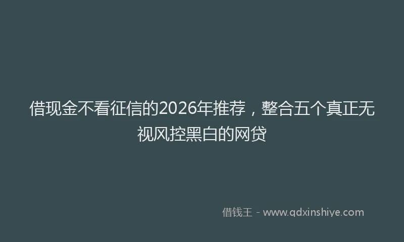 借现金不看征信的2026年推荐，整合五个真正无视风控黑白的网贷